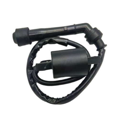 Bobine d'allumage pour Raptor 660 et Grizzly Rhino 660cc ATV