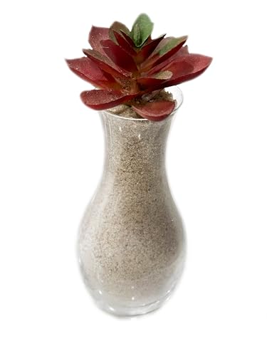 Generic PLAYSAND2LBS 2 Pounds Natural Decorative Real Sand thumb #5