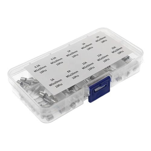 100 unidades Kit de fusibles de tubo de vidrio variados Amp 0.2A-20A Acción rápida 250V Pack surtido con caja de almacenamiento miniatura 3