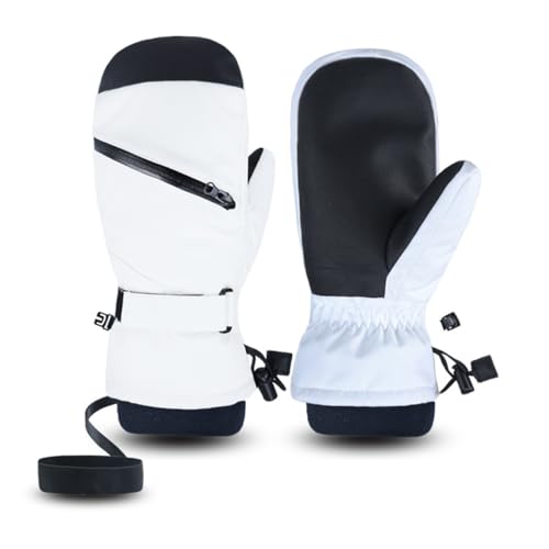 [JYZ] XL[O[u Xm{ ~g Y fC[Y Xm[O[u ^b`pl ~p h g Jbv  ۉ ~ \h V oR AEghA zCg LTCY