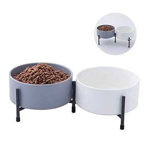 32 oz Ceramic Dog Cat Bowl Set of 2 with Elevated Metal Stand 6 Inch Ceramic Round Pet Food and Water Feeder Bowl Dish for Cats Dogs