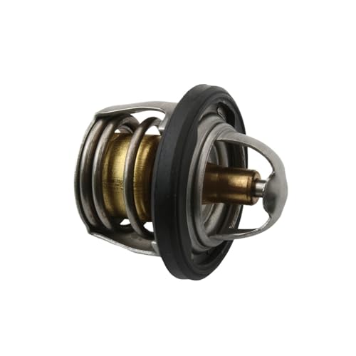 Termostato de agua Nexus 250cc 300cc repuesto motor refrigerado 82831R5 82710R
