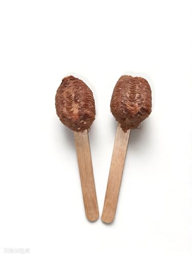 Praying Mantis Ootheca Egg Case on a Wooden Stick Attached(Two Egg Cases) Imitation of Nature Convenient to Place in Incubation Cups in Terrarium Boxes in Gardens in Grass in the Woods