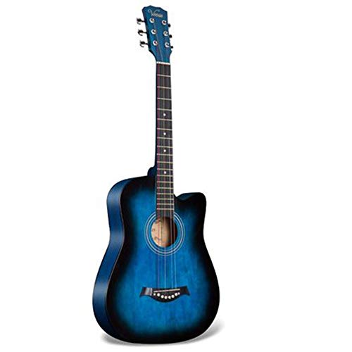 AR[XeBbNM^[ w̗KtH[NM^[S҃M^[ؐM^[ y̑蕨 (F : Blue, Size : 38 inches)