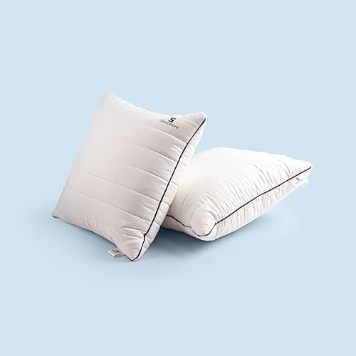 Image of SleepStore Granules Soft Cushion for Back & Spine Support, Pack of 2, 16x16 Inch | Multipurpose Adjustable Cushion for Office, Home & Travel | Shredluxe Fill - Blend of Memory Foam & Premium Fiber