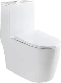 Vaso Sanitário Monobloco Completo Com Assento Branco Gowff