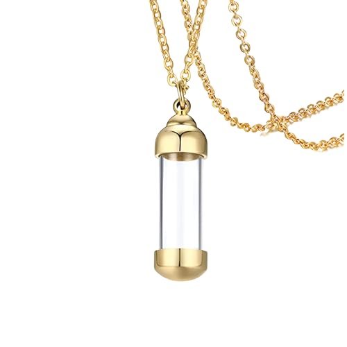Urne de cendres pour chien collier flacon en argent 925 et tube bouteille en verre