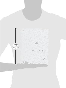 Artool Freehand Airbrush Templates, Dolla' Bill