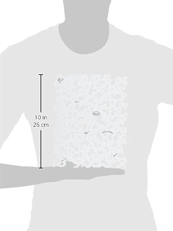 Artool Freehand Airbrush Templates, Dolla' Bill