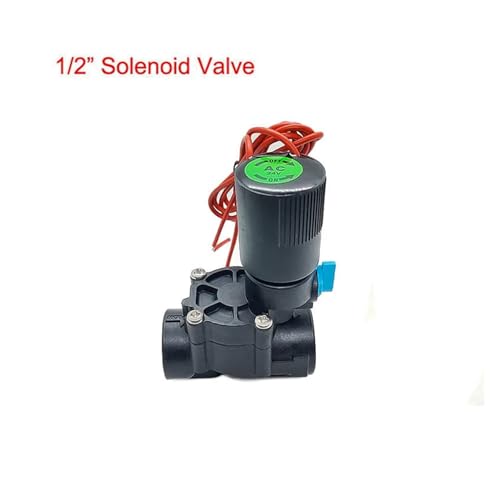 Irrigation paysagère réussie grâce à l'électrovanne 1-1/4 110V
