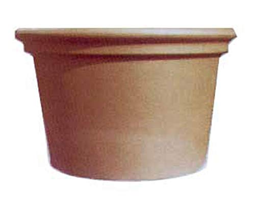 Generico Vaso Cilindro in Terracotta Diametro 50 cm, Altezza 36 cm Fioriera Cotto per Giardino Piante e Fiori Cycas