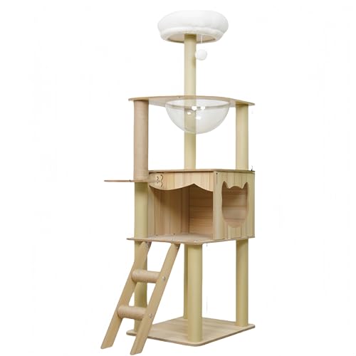 HxuolueLbg^[ ^Lp ؐ ̃Xy[XJvZ L^[  u  tďH~ VRTCU ܂Ƃ|[ lC ˂nEX  芴 L̉ ^s ȃXy[X (31)