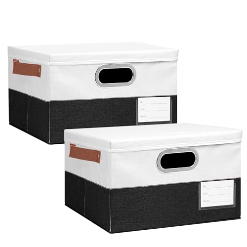 Foldable Fabric Storage Boxes with Lids, Collapsible Versatile Bi...