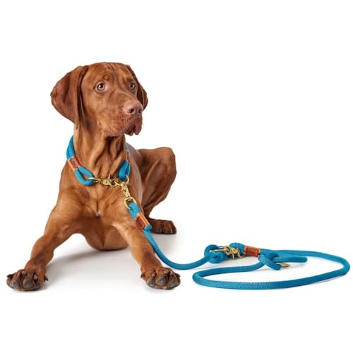HUNTER Oss Halsung, Halsband für Hunde, Tau, Seil, Messing-Karabiner, Maritim, Petrol, L