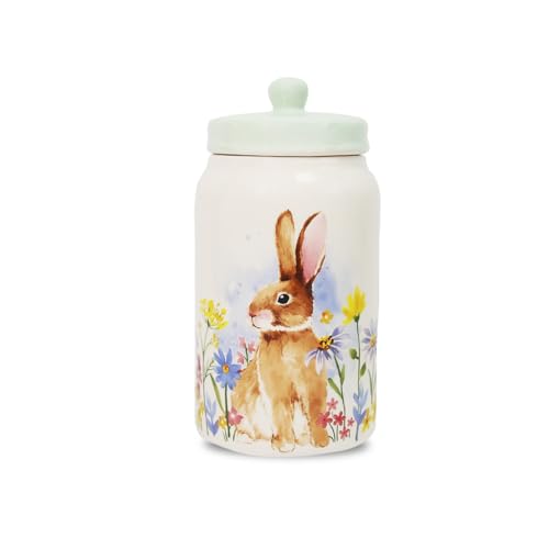 WK WENKRYGDN Easter Cookie Jar with Lid Decorative...