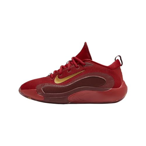 Nike IsoFly Big Kids' Basketball Shoes (FZ7298-600, Gym Red/Team Red/Dark Team Red/Metallic Gold) Size 4