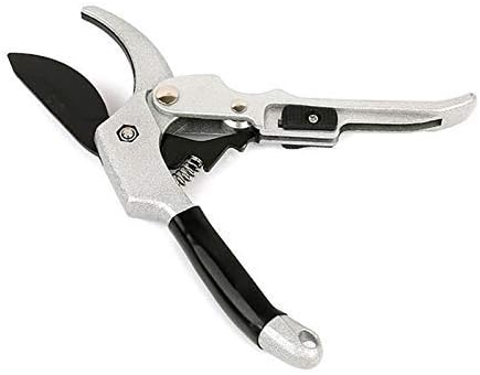 真作】塩川文麟/梅花山水図/早春田家図/横物/掛軸☆宝船☆Z-750 真作