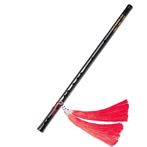 vdl̒|J CL[|JS҂Ƒl[x[X̉JÑX^C̊y