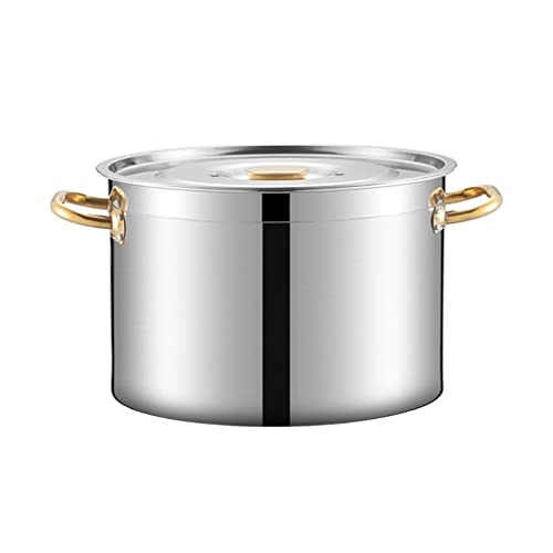Olla de acero inoxidable, 20 litros, fondo compuesto de 3 capas, olla versátil para elaboración casera y cocina, apta para todas las estufas