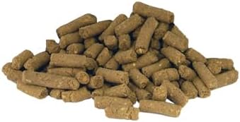 Alimento premium para hurones Marshall pack 2 bolsas 4 lb miniatura 2