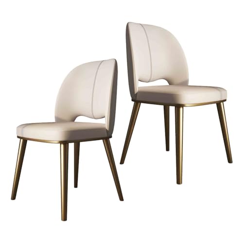 WRYsqbhjyb Sillas Comedor Pack 2 Modernas, Sillas de Comedor Tapizadas con Respaldo Hueco, Estructura de Metal y Patas de Metal, Sillón for Cocina, Sala de Estar, Hotel(Gold)