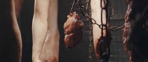 Bonesaw butchers con dentado optimizado para cortes limpios 5