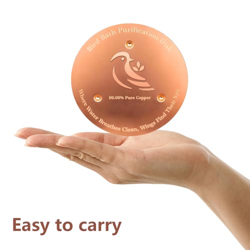 Discos de metal para baños de pájaros de bronce con densidad prémium de 0,6 mm 5