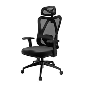 POKAR Ergonomische Bureaustoel met Aanpasbare Rugleuning Bureaustoel Bureaustoel Computerstoel Bureaustoel Stoelen Lendensteun en Hoofdsteun, Zwart