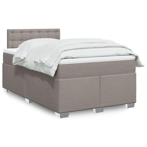 Mandloder Cama con somier con colchón topo, 120 x 190 cm, funda de tela, núcleo de muelles ensacados, iluminación LED, cubrecolchón, patas de madera de pino