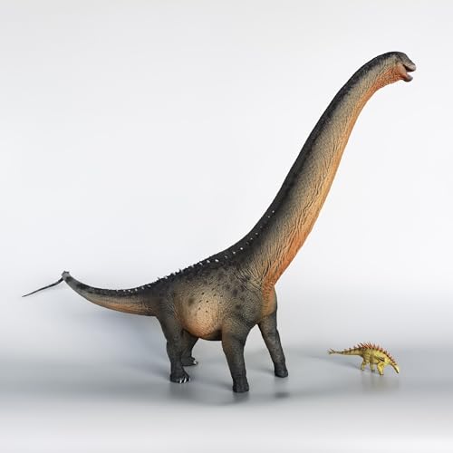 Dinosaure argentin modèle préhistorique 1:35 couleur C AMITD - 7