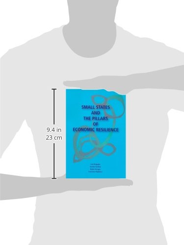 Small States and the Pillars of Economic Resilience