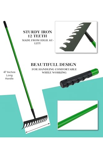 RANRHA Heavy Duty Garden Rake with 12 Iron Teeth - Image 5
