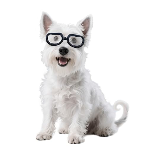 Namsan �N���A�h�b�O�S�[�O�����^���p�A�RUV�T���O���X���^���p�A�h�����C�f�B���O�h�b�O�A�C�ی�A�L�k�X�g���b�v�t�����p���K�l�A�ȒP�ɒ��E/���߉\�A����