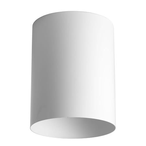 Image of Progress Lighting 5-Inch Cylinder Outdoor Ceiling Light, 1-Light Modern Flush Mount Ceiling Fixture, Interior and Exterior Lighting for Home or Porch, Aluminum Construction, White, P5774-30