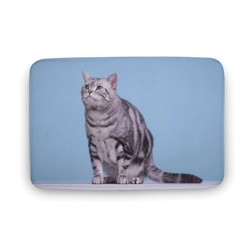 L   oX}bg z/唻 փ}bg  O   傫 ~ Aj LN^[ @}bg   ʏ