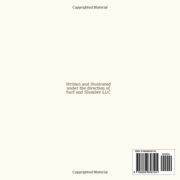 Surf & Slumber - Image 2