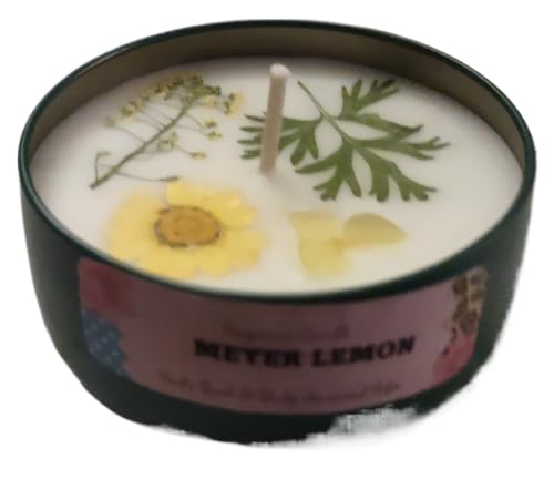 God's Bath & Body Anointed Gifts - Meyer Lemon - 8oz metallic tin can with lid