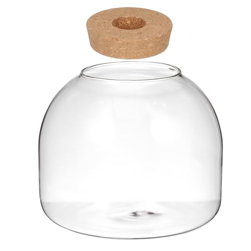 SEWACC Glass Terrarium Jar with Wood Stopper, Small Tabletop Plant Terrarium Container for Home Decor, Office Display