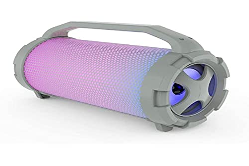 Altoparlante Portatile Bluetooth | USB | Scheda
