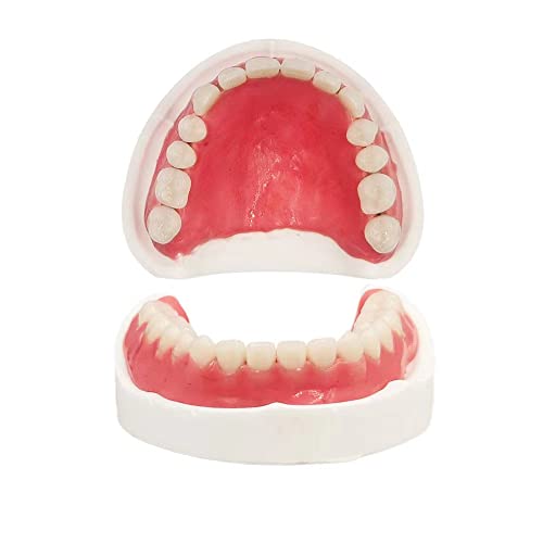 The Best Dentures Kit