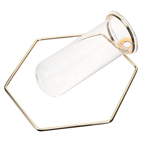 HYTROVE 壁掛け花瓶 壁掛け植物用 ガラス製試験管デザイン インテリア装飾 水栽培用 壁面装飾 花の繁殖ステーション