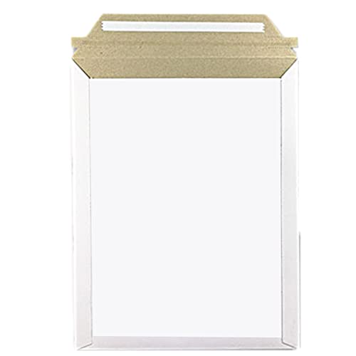  rWlX^[P[X A5Ή 50 yEMS-A5z (24.5CM 19CM) R[g{[ 300g/   p z Ɩp zCg X֑ bsO ۗXւ̕   } [ z֎