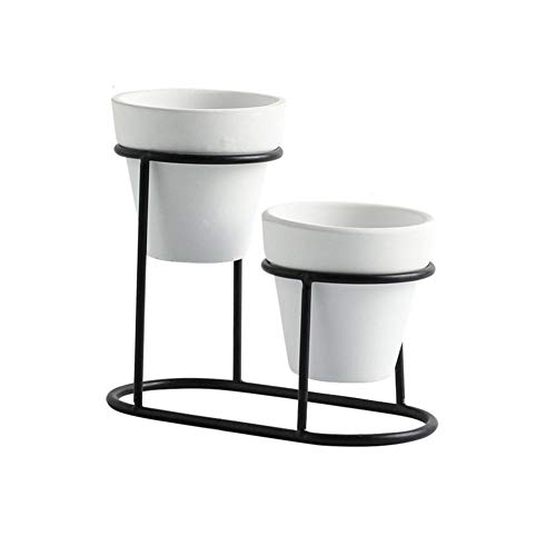 Kitabetty Olla suculenta de cerámica, suculentas Cactus Maceta Maceta Maceta Maceta Jardín Jardinera para Cultivo de Tierra/Hidropónicos/Decoración de Flores