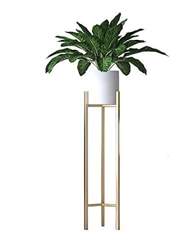 Image of N H creations Modern Iron Metal Tall Plant Stand with Pot | Indoor Outdoor Plant with Stand /Pot Stand with Planter, Gold, 1 Piece (White)