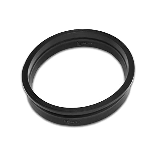 Image of QFS Fuel Pump Tank Seal /Gasket Replacement for BMW F650CS, F650GS, G650GS, 1999-2016, OEM 16111179637