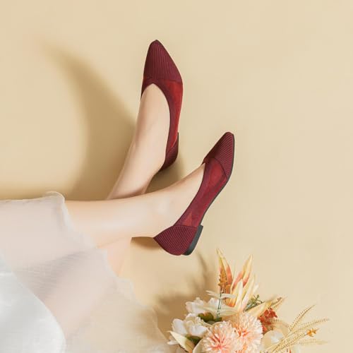 HROYL Women's Mesh Ballet Flats Shoes Pointed Toe Comfortable Dressy Slip On Knit Ballet Flat Model XTZ-A8-YS2