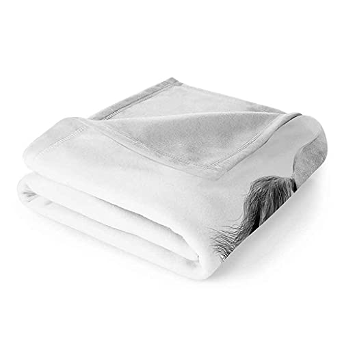 Couverture microfibre douce imprimé floral 3D grand format confort canapé lit