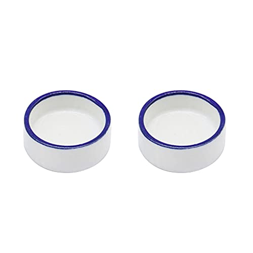 水フードボウルセラミックペットボウル抗エスケープミルワーム皿フトアゴヒゲトカゲ用エスケーププルーフボウル爬虫類用