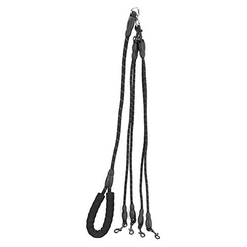 Descubre el Tesoro Canino: Actividad Mental para tu Perro 2 3 Correas para Perros, Collares y Correas para Perros, Accesorios...