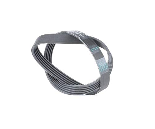 CONTITECH 5PK880 Cinghie Trapeiz